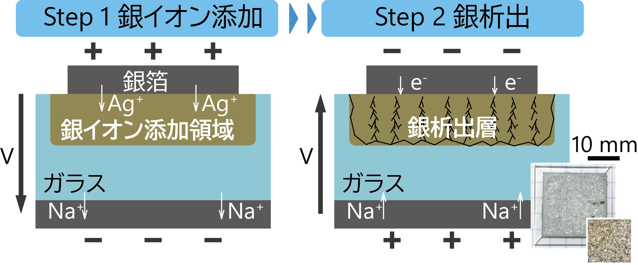 実験概要