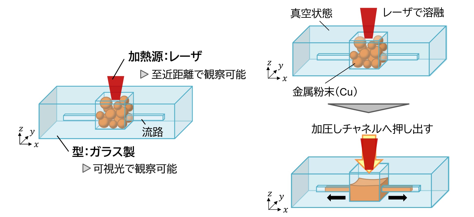 実験概要