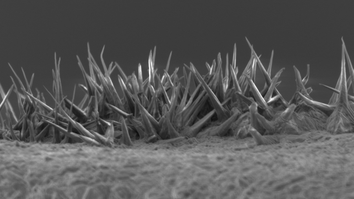 Surface Structure Processing